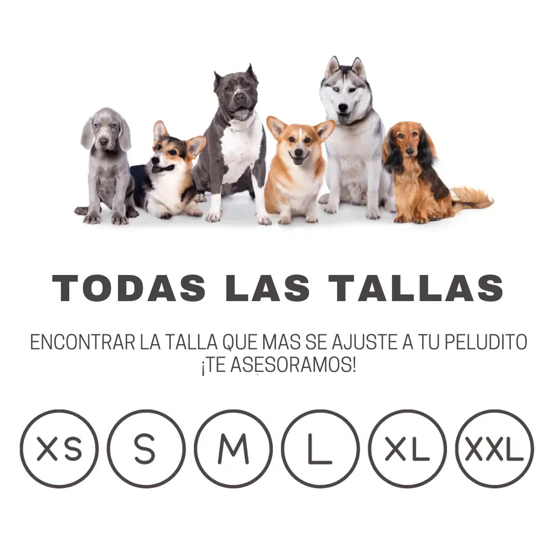 Cama Antiestrés Furbedz: el refugio que tu perro merece para dormir de verdad