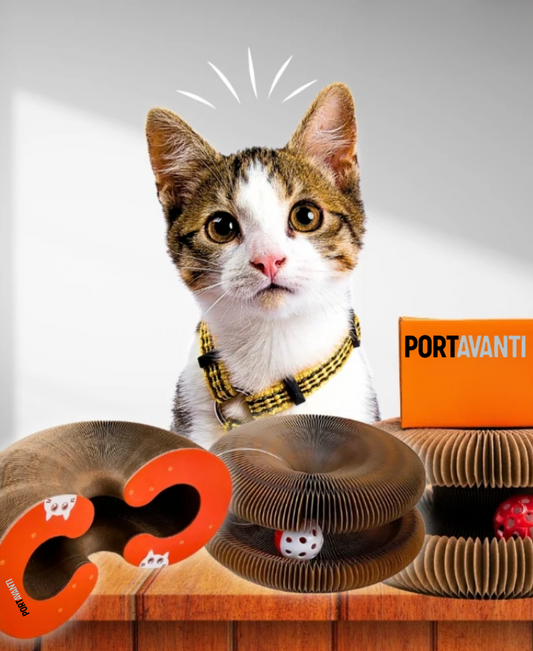 RolloRascador™:  Salva tus Muebles y Hace Feliz a tu Gato