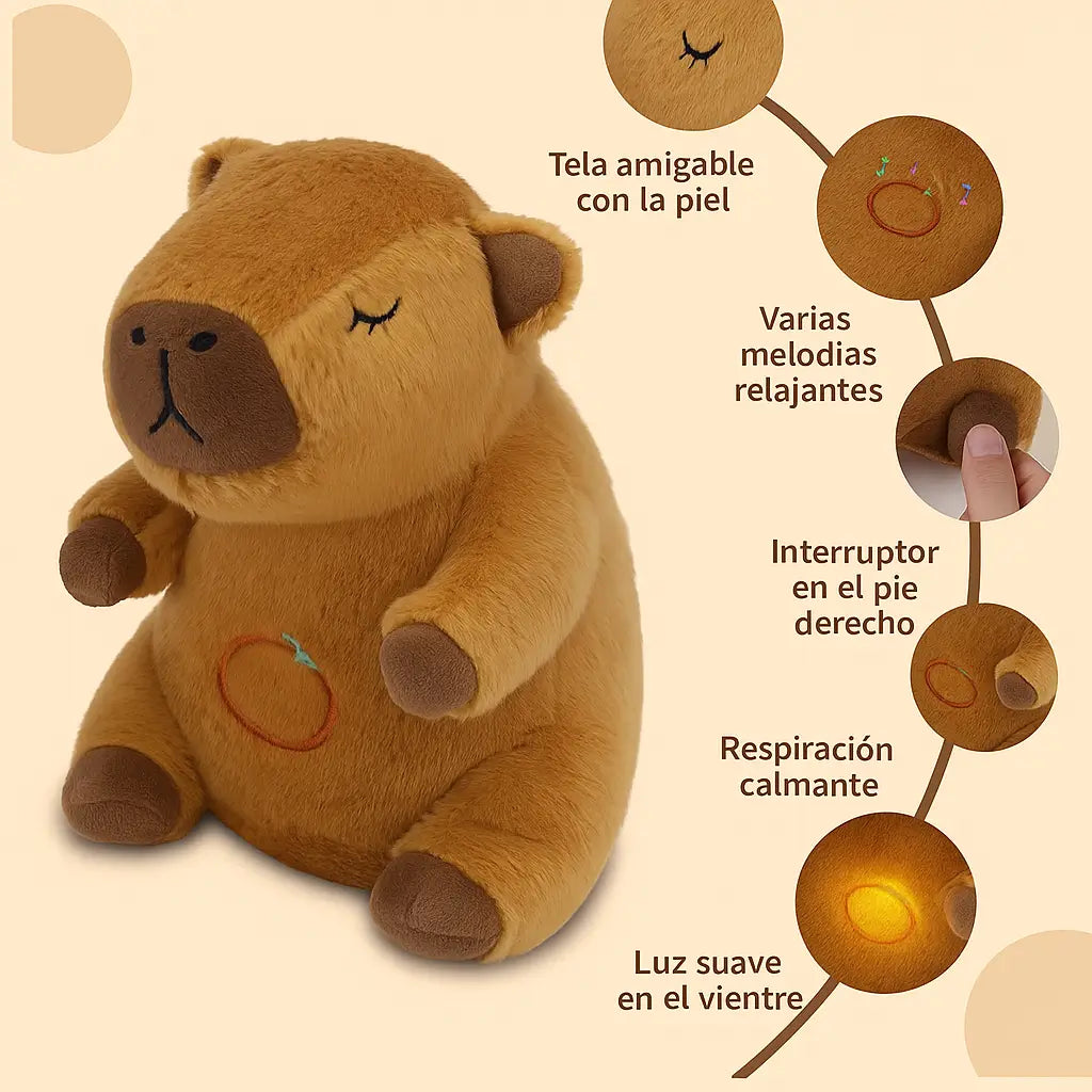Encabezado