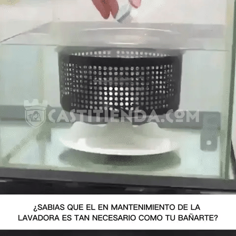 Encabezado